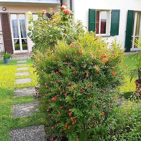 Apartment Casetta Miravigna Cozy Flat With Garden In Franciacorta & Iseo Paderno Franciacorta