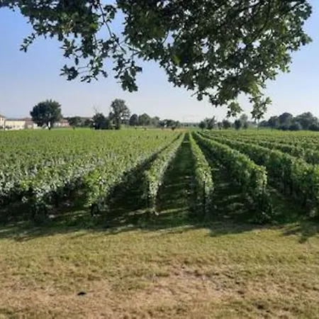 Casetta Miravigna Cozy Flat With Garden In Franciacorta & Iseo *