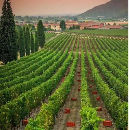 Casetta Miravigna Cozy Flat With Garden In Franciacorta & Iseo