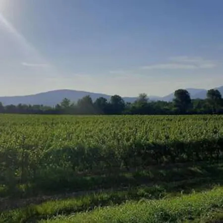 Casetta Miravigna Cozy Flat With Garden In Franciacorta & Iseo *