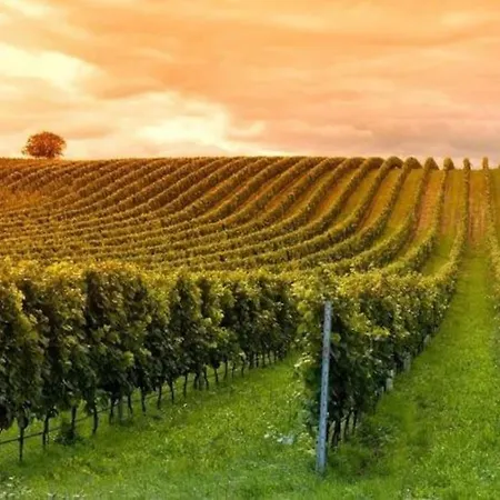 公寓 Casetta Miravigna Cozy Flat With Garden In Franciacorta & Iseo *